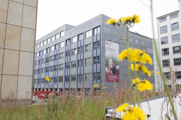 Phorms Campus Hamburg, Gymnasium